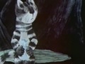 Кот Котофеевич